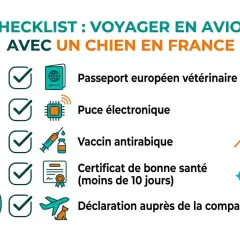 Checklist pour voyager en avion avec un chien en France : passeport, puce, vaccin, certificat de santé, déclaration. La meilleure compagnie aérienne pour animaux prendra en compte ces éléments.