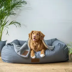 Un adorable chien se repose confortablement sous une couverture dans son gite pour chien douillet.