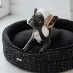 Un adorable bouledogue français, coiffé d'un bonnet douillet, se repose dans sa corbeille chien.