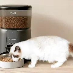 Un chat mange des croquettes dans une gamelle devant un distributeur automatique.