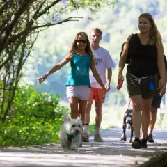 Une famille profite d'une promenade avec son puy de Sancy chien sur un sentier en bois, entourée de verdure.