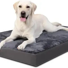 Un labrador blanc se repose sur un coussin ergonomique pour chien gris foncé, l'air heureux et détendu.