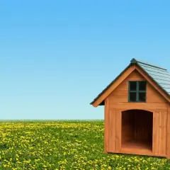 Une niche en bois avec une fenêtre et une entrée spacieuse, posée dans un champ de pissenlits sous un ciel bleu. La dimension niche chien est parfaite pour un compagnon.