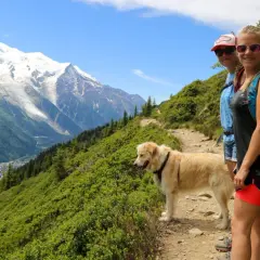 Randonnée à Chamonix avec son chien, profitant d'une vue imprenable sur le massif du Mont-Blanc.