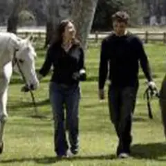 Un couple promène un cheval blanc et Hercule, le plus gros chien du monde, dans un pré.