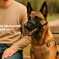 Un homme et son chien, un Malinois, assis sur un banc. Le chien porte une muselière, soulevant la question de la muselière obligatoire en France pour certains chiens.
