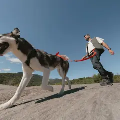 Un homme et son chien husky profitent d'une belle journée de cani randonnée sur un sentier rocheux, sous un ciel bleu éclatant.