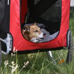 Un chien marron et blanc se repose dans une remorque à chien rouge et noire, la langue sortie.