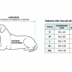 Illustration d'un chien allongé avec mesures et tableau des tailles de couchage.