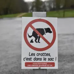 Panneau interdisant le caca de chien. Les crottes doivent être ramassées dans un sac, sous peine d'amende.