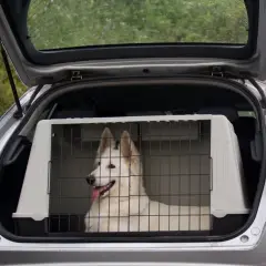 Un chien blanc est confortablement installé dans une cage double à l'arrière d'une voiture, prêt pour une aventure.