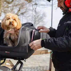 Un homme prépare un top case moto pour chien de 20 kg. Le petit chien est déjà installé, prêt pour l'aventure.