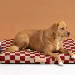 Un chien brun se repose sur un panier à carreaux rouges et beiges. À côté, un panier bleu et un autre à motifs verts.