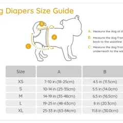 Guide des tailles pour culotte chien lavable. Mesurez votre chien pour trouver la bonne taille.
