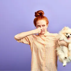 Une femme pince son nez, visiblement dérangée par l'odeur de son adorable petit chien. Mon chien sent mauvais, mais il est tellement mignon !