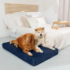 Deux chiens se prélassent sur un matelas bleu, un panier pour chien incontinent idéal pour le confort et la propreté.
