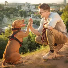 Un éducateur canin comportementaliste félicite son chien pour un bon comportement. Ils sont en extérieur, avec une ville en arrière-plan.