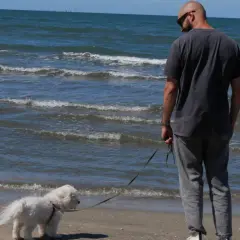 Un homme et son chien profitent d'une journée ensoleillée sur la plage du Grau-du-Roi, où les chiens sont autorisés.