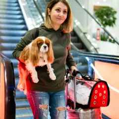 Une femme souriante descend un escalateur avec son chien dans les bras, prête pour son vol easyJet.