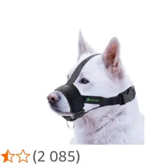 Un chien blanc porte une muselière en nylon noire, conçue pour le confort et la sécurité.
