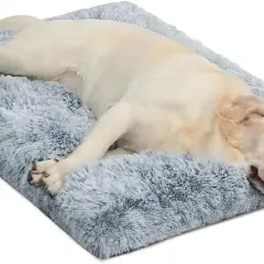 Un chien se repose paisiblement sur un tapis doux et moelleux, parfait pour son espace dans la cage.