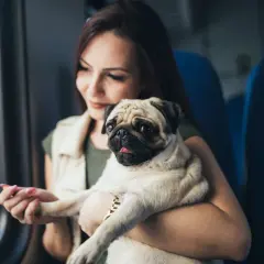 Une jeune femme tient son carlin, prêt à prendre l'Eurostar avec son chien.