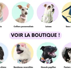 Un chien blanc porte un bandana réversible avec des motifs de bande dessinée. Il est à côté d'un chien noir avec un nœud papillon.