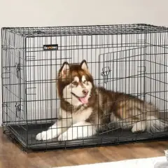 Un grand chien de race Husky est couché dans une cage. Il a l'air content et détendu.