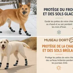 Chien en chaussette pour chien sur la neige et un autre sur un chemin chaud. Protège du froid et de la chaleur.
