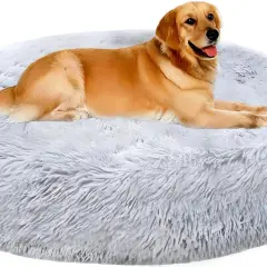 Un chien golden retriever se repose sur un panier chien rond moelleux et gris.