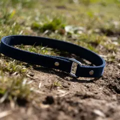 Un licol chien bleu marine, simple et solide, repose sur la terre et l'herbe. Prêt pour l'aventure !