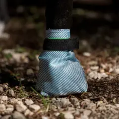 Une chaussure chien bleue et blanche protège la patte d'un chien sur un sol caillouteux.
