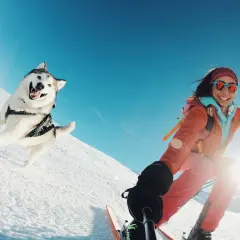 Un chien ski, tout sourire, dévale la pente enneigée aux côtés de sa maîtresse en ski. Le ciel est d'un bleu éclatant.