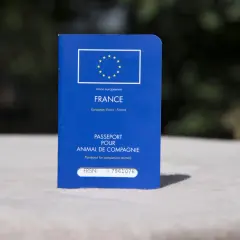 Passeport pour animal de compagnie français, avec le drapeau européen. Idéal pour voyager avec votre chien.