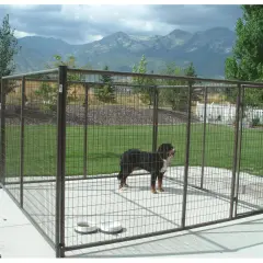 Grand chenil extérieur avec un chien. La question de savoir combien de m2 par chien est importante pour son bien-être.