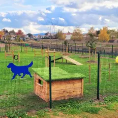 Parc d'agilité pour chiens à Nantes. Tunnel, rampes et parcours d'obstacles pour une promenade chien réussie.