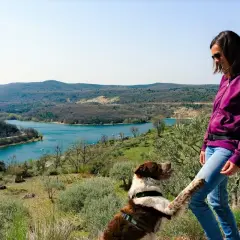 Un chien joueur lève la patte vers sa maîtresse, profitant d'une vue magnifique sur le lac de Sainte-Croix, au cœur des Gorges du Verdon.