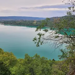 Vue panoramique du lac de Chalain, avec des arbres en premier plan. Un chien imaginaire court sur la rive.