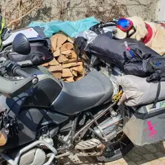Un chien Golden Retriever, prêt pour l'aventure, est confortablement installé sur une moto chargée pour un voyage. Le transport chien quad est bien organisé.