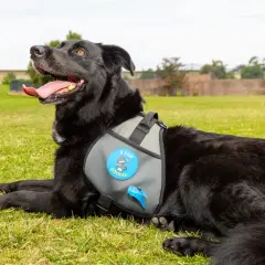 Chien noir couché sur l'herbe, portant un harnais avec un sac ramasse crotte intégré.