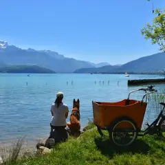 Journée paisible au lac Annecy, où un chien est autorisé à profiter de la vue avec sa maîtresse.