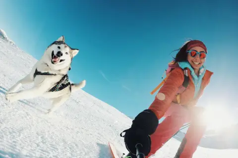 Un chien ski, tout sourire, dévale la pente enneigée aux côtés de sa maîtresse en ski. Le ciel est d'un bleu éclatant.