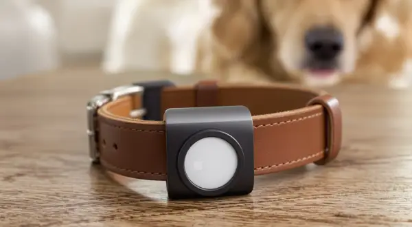 Collier en cuir marron avec un support noir pour un AirTag, prêt pour le **portée AirTag chien**.