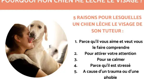 Un chien lèche le visage de sa maîtresse. L'image explore pourquoi mon chien me lèche, listant 5 raisons : amour, attention, calme, stress, ou phobie.
