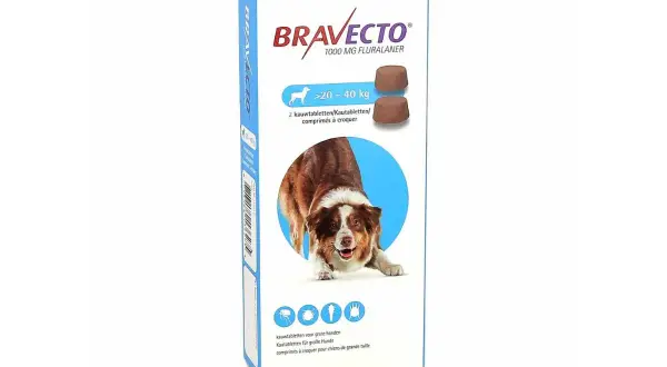 Boîte de Bravecto, une pilule pour chienne de grande taille, contenant 2 comprimés à croquer pour protéger contre les parasites.