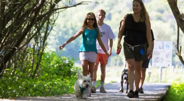 Une famille profite d'une promenade avec son puy de Sancy chien sur un sentier en bois, entourée de verdure.