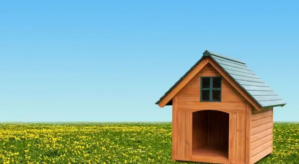 Une niche en bois avec une fenêtre et une entrée spacieuse, posée dans un champ de pissenlits sous un ciel bleu. La dimension niche chien est parfaite pour un compagnon.