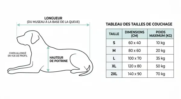 Illustration d'un chien allongé avec mesures et tableau des tailles de couchage.