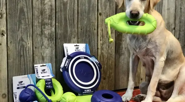 Un chien tient un jouet vert dans sa gueule, entouré de jouets pour chiens, dont une balle flottante.