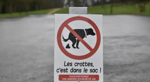 Panneau interdisant le caca de chien. Les crottes doivent être ramassées dans un sac, sous peine d'amende.